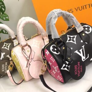 LV Speedy Bag Regular