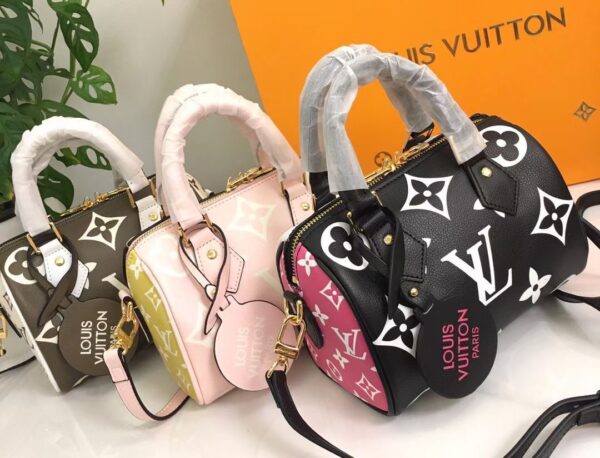 LV Speedy Bag Regular