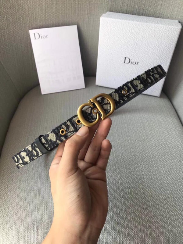 Saddle Dior Oblique Belt
