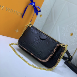 Multi Pochette Accessories bag Regular edition