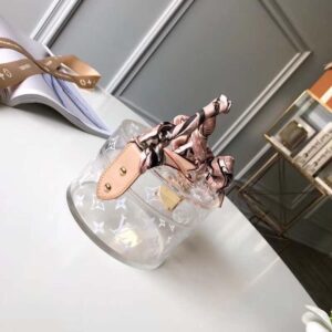 Limited Ed Monogram Plexi Leather Vanity Box Bag