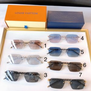 LV Sunglasses