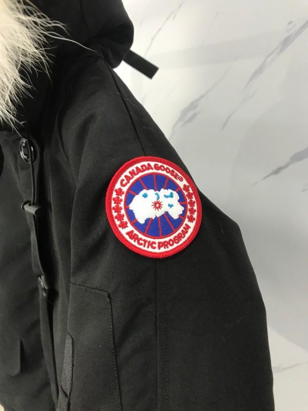 C Goose bomber coat super A - Image 4